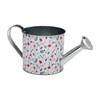 Watering Can Versa Verdi Metal