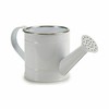 Лейка Ibergarden Белый Серебристый Металл 750 ml (24 штук)