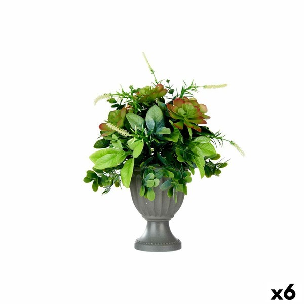 Dekoratyvinis augalas Ibergarden Plastmasinis Stiklinė 25 x 36 x 25 cm (4 vnt.)