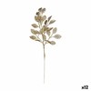 Zars Krist+ Bronza Plastmasa 31 x 68 x 2 cm (12 gb.)