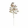 Zars Krist+ Bronza Plastmasa 31 x 68 x 2 cm (12 gb.)