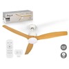 Ceiling Fan with Light Argon White Brown 40 W Ø 132 cm