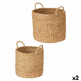Set of Baskets Gift Decor Brown Marine algae 2 Pieces (2 Units)
