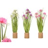 Decorative Plant Ibergarden Rope Plastic Stone 30 x 70 x 30 cm (3 Units)