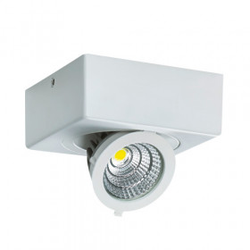 IGOR LED D 6W VALGE 4000K LED COB Laevalgusti