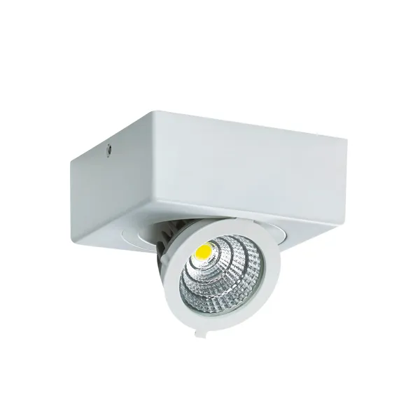 IGOR LED D 6W VALGE 4000K LED COB Laevalgusti