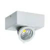 IGOR LED D 6W VALGE 4000K LED COB Laevalgusti