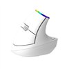 Wireless Vertical Mouse Delux M618C 2.4G 1600DPI RGB (white)