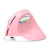 Wireless Vertical Mouse Delux M618Mini DB BT+2.4G 2400DPI (pink)