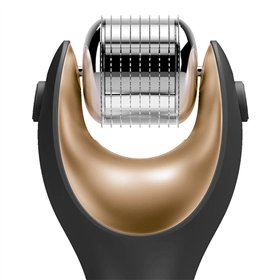 Face Roller Micro Needle Head Geske