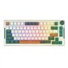 Royal Kludge RKH81 RGB Wireless Mechanical Keyboard, Sky cyan switch (green) (QWERTY)