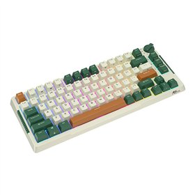 Royal Kludge RKH81 RGB Wireless Mechanical Keyboard, Sky cyan switch (green) (QWERTY)
