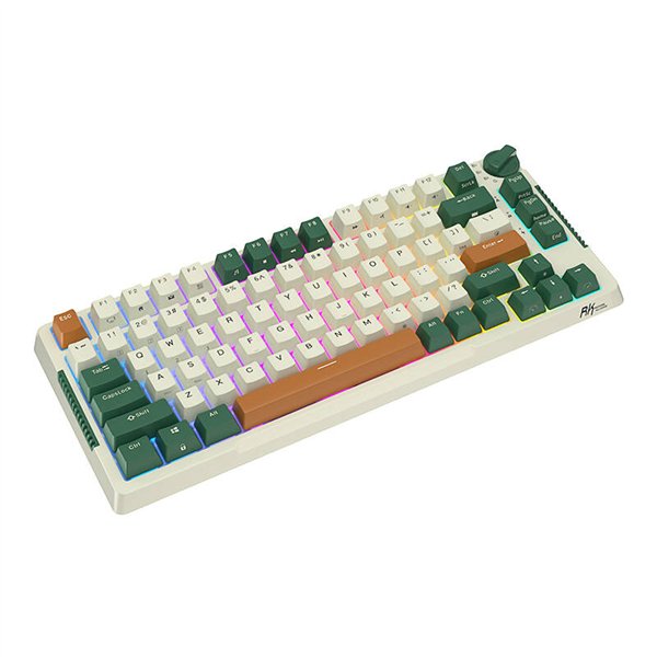 Royal Kludge RKH81 RGB Wireless Mechanical Keyboard, Sky cyan switch (green) (QWERTY)
