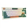 Royal Kludge RKH81 RGB Wireless Mechanical Keyboard, Sky cyan switch (green) (QWERTY)