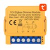 Smart socket switch ZigBee Avatto ZDMS16-2 TUYA