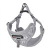 Dog set Dogness harness and leash (Light Grey)