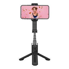 Gimbal Hohem iSteady Q
