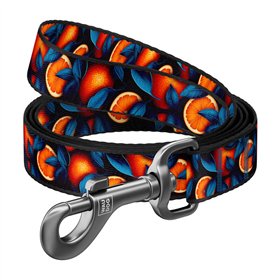 Nylon dog leash, pattern ''Oranges'' length 122 cm Waudog