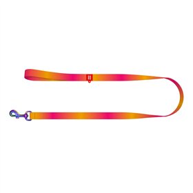 WAUDOG gradient nylon dog leash, 15mm wide, 122cm long, orange