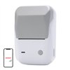 Niimbot B1 Mobile Thermal Label Printer Gray