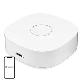 Smart home WS2GW-R WiFi