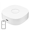 Smart home WS2GW-R WiFi