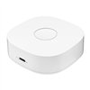 Smart home WS2GW-R WiFi