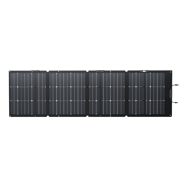 Set: EcoFlow Delta 2 power station + 220W photovoltaic panel.