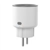 Sonoff S60ZBTPF ZigBee smart outlet