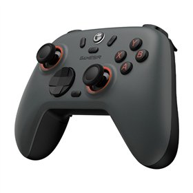 GameSir Nova 2 Lite Wireless Controller (gray)