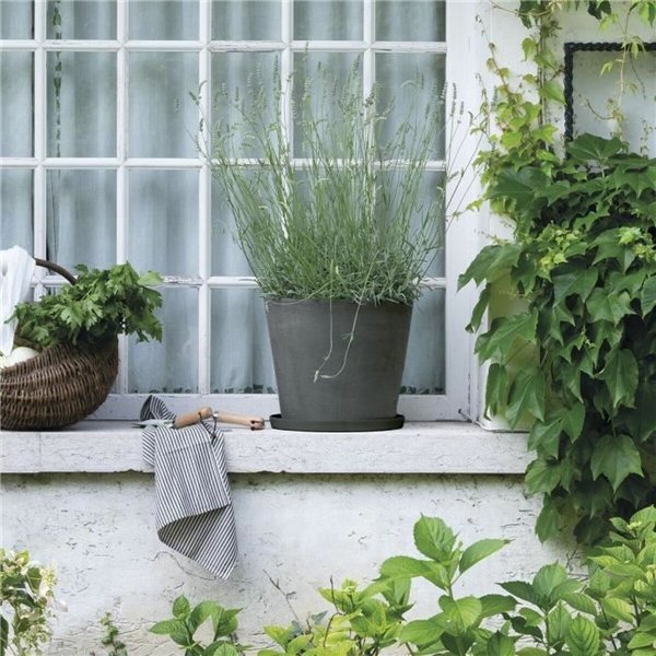 Gėlių vazono indas Deroma