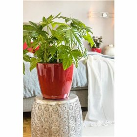 Plant pot Lechuza Red polypropylene Circular