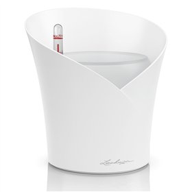 Банка Lechuza Белый