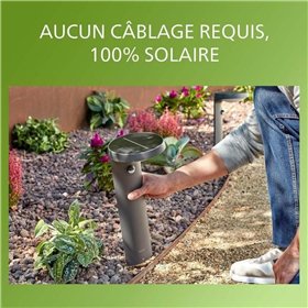 Lempa Philips Juoda E27 (1 vnt.)