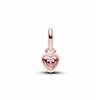 Woman's charm link Pandora 783042C01