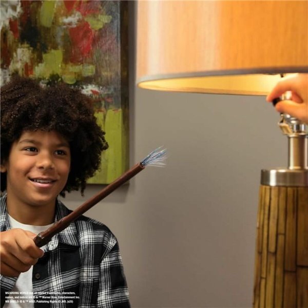 Burtų žaidimas Spin Master HARRY POTTER