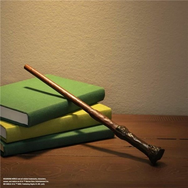 Burtų žaidimas Spin Master HARRY POTTER