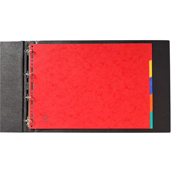 Разделители Exacompta Разноцветный A3 (20 штук)