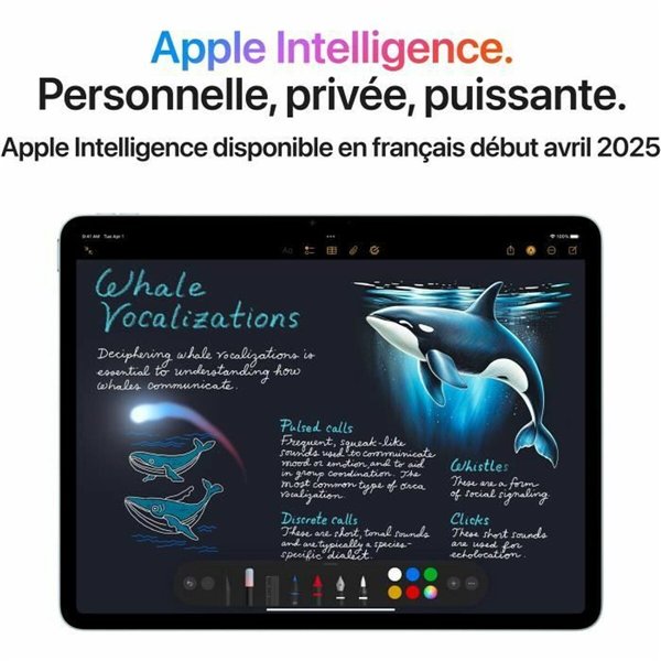 Planšetė Apple 11" M3 8 GB RAM 1 TB Pilka