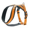 Koiran valjaat Hunter London Comfort Oranssi M 57-70 cm