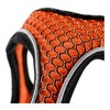 Šuns pakinktai Hunter Hilo Comfort 58-63 cm M/L dydis Oranžinė
