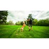 Ball Launcher for Dogs Hunter Yellow Orange Rubber Ball