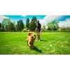 Ball Launcher for Dogs Hunter Yellow Orange Rubber Ball
