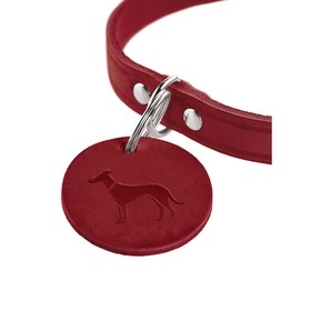 Собачий ошейник Hunter Aalborg Красный S 32-38 cm