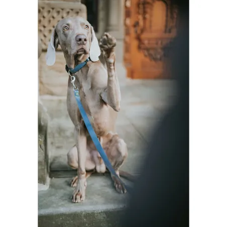 Dog Lead Hunter Blue 100 cm