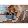 Dog Feeder Hunter OSBY GLAZED Blue Ceramic 1,9 L