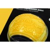 Lemmikin pallo Gloria PLAY AND RUN Keltainen TPR L 8,89 cm
