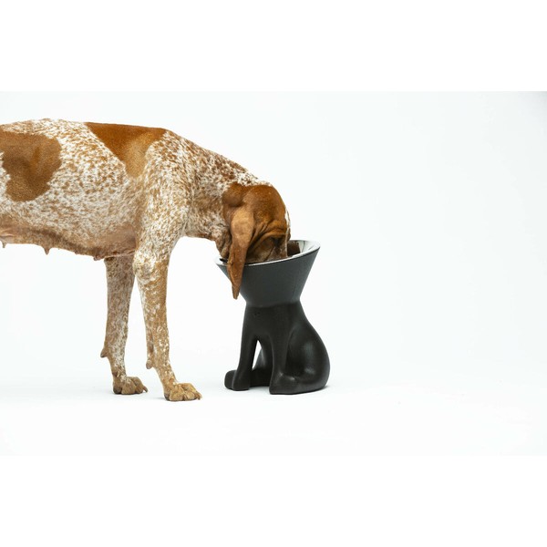 Koiran ruoka-annostelija United Pets Up Elisabeth Musta Ruostumaton teräs Polyetyleeni 1 L