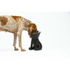 Кормушка для собак United Pets Up Elisabeth Чёрный Нержавеющая сталь полиэтилен 1 L