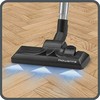 Bagged Vacuum Cleaner Rowenta 900 W